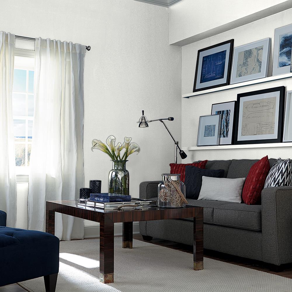 Tundra Frost PPG1009-1