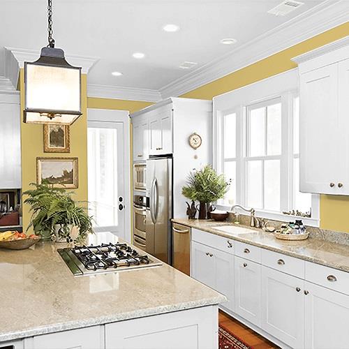 Spicy Mustard PPG1108-5