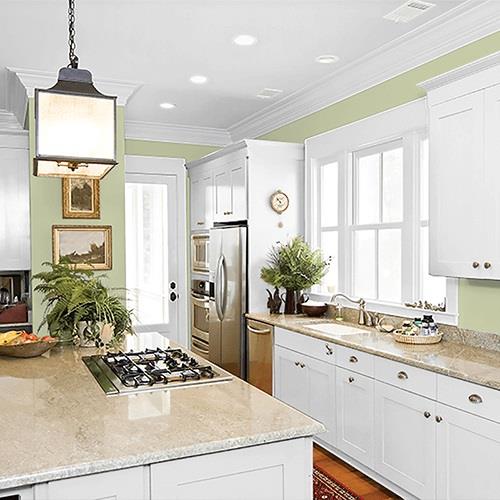 Sage Splendor PPG1115-4