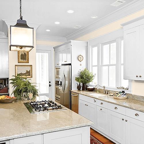 Elegant Ivory PPG1081-1