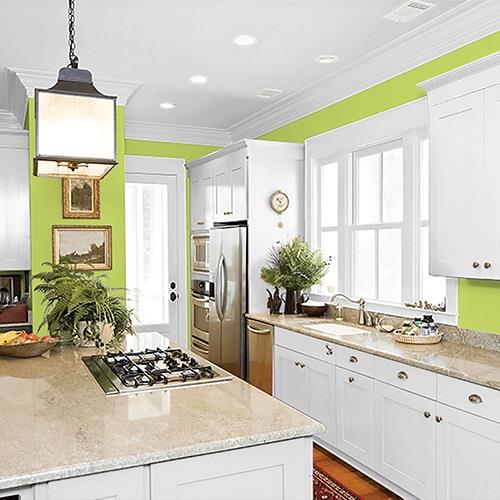 Boogie Blast PPG1219-5