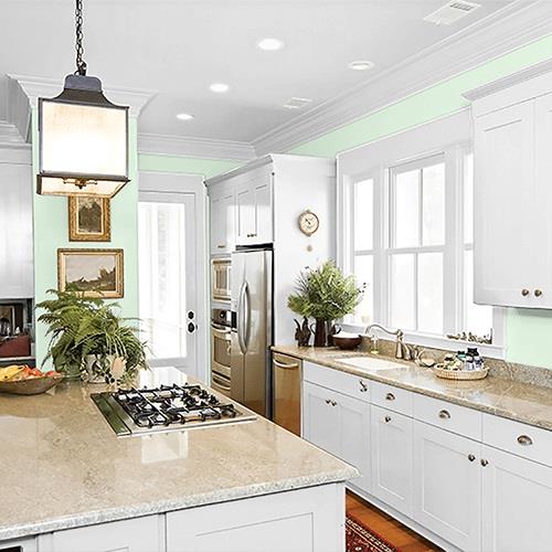 Dewmist Delight PPG1225-2