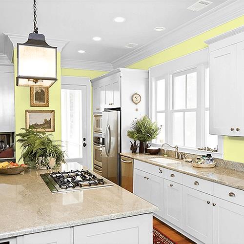 Lemon Pepper PPG1216-4