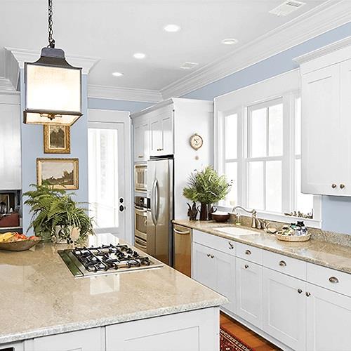 Blue Dolphin PPG1041-4