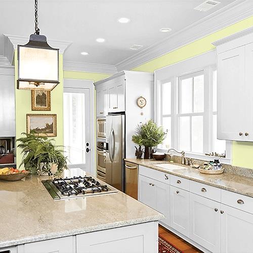 Limited Lime PPG1217-2