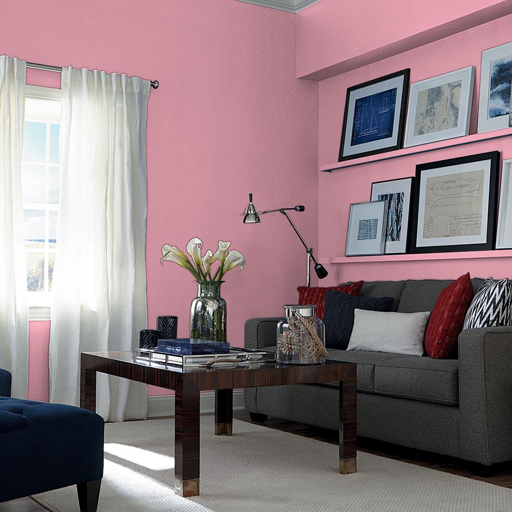 Madagascar Pink PPG1050-4