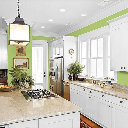 Lime Green PPG1222-5