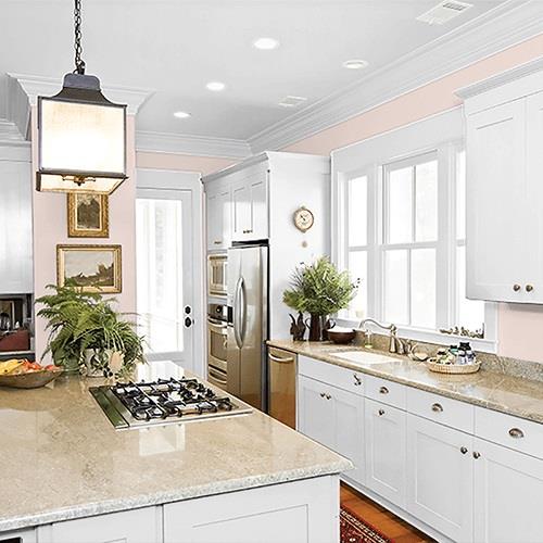 Blossom Pink PPG1016-2