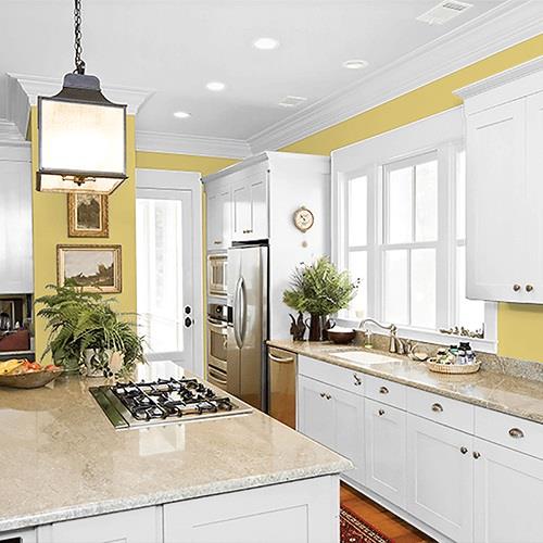 Citrus Yellow PPG1109-4