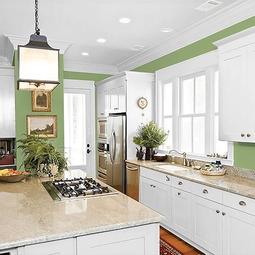 Luscious Lime PPG1120-6