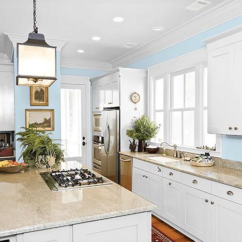 Blue Pearl PPG1157-2