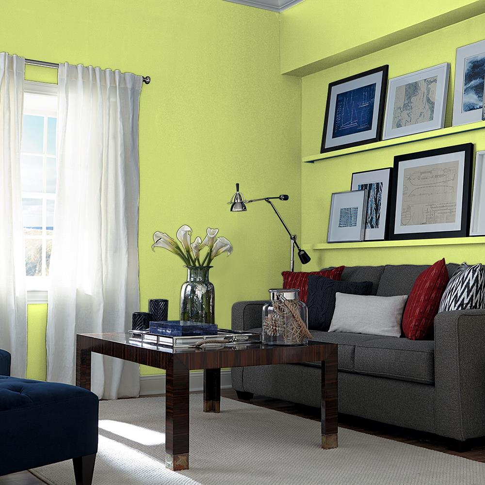 Goody Gumdrop PPG1219-4