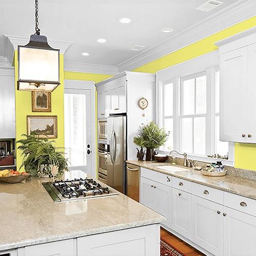 Fresh Lemonade PPG1216-5