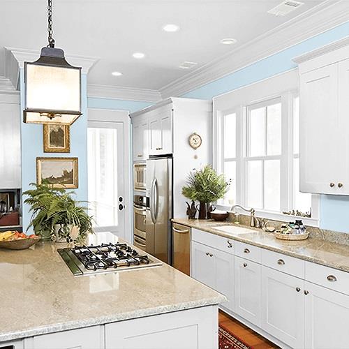 Duck's Egg Blue PPG1239-2