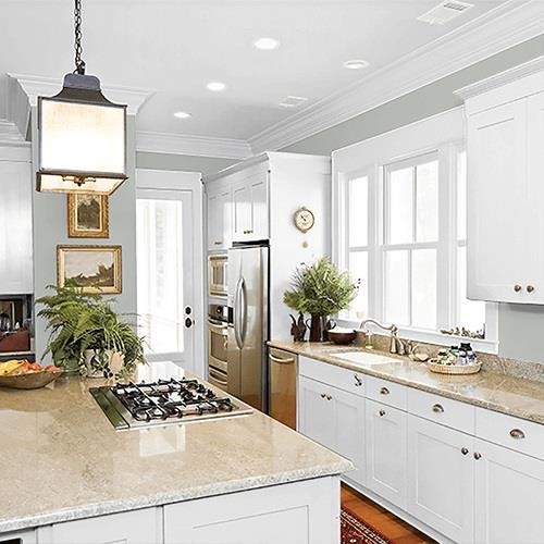 Gray Stone PPG1009-4