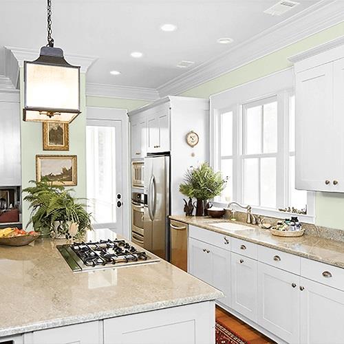 Liberated Lime PPG1127-2