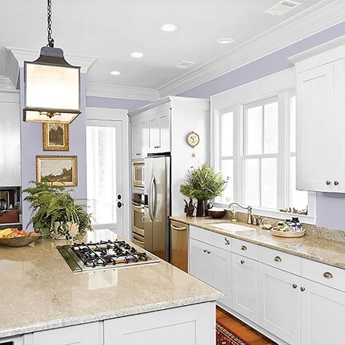 Silverberry PPG1173-4