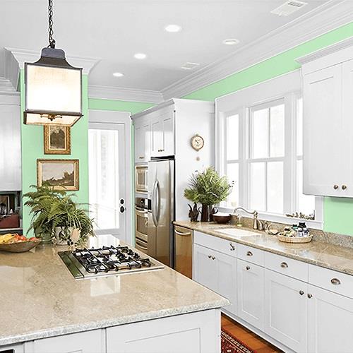 Lime Sorbet PPG1225-4