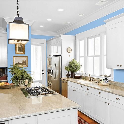 Viva La Bleu PPG1242-3