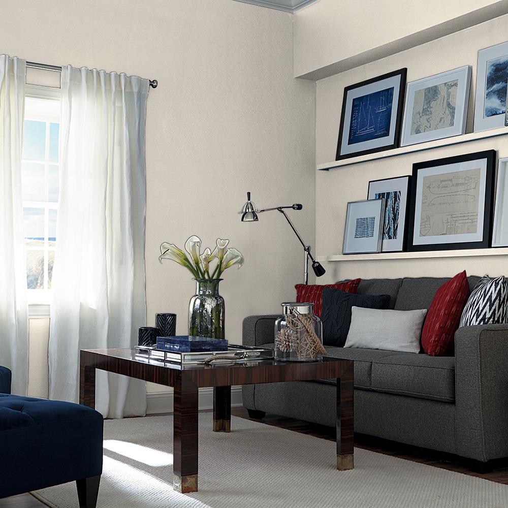 Dust Bunny PPG1000-1