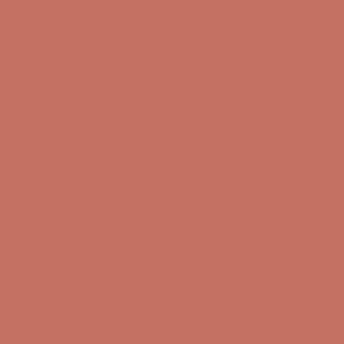 Cajun Spice PPG1191-6