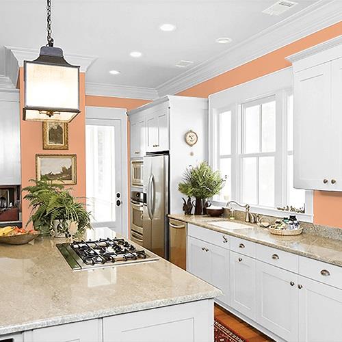 Orange Clay PPG1200-4