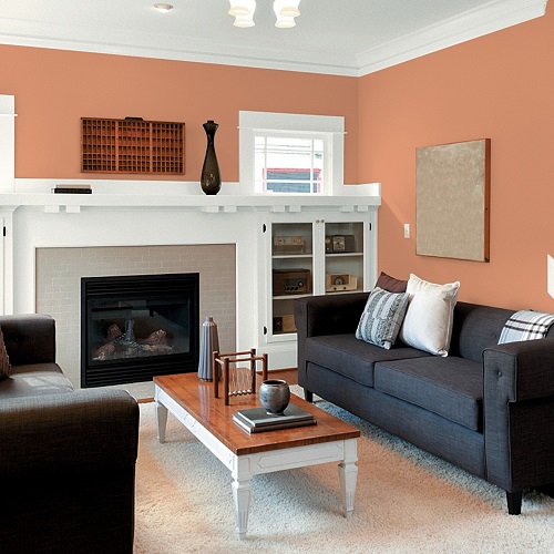Living room with earthy and warm tones.