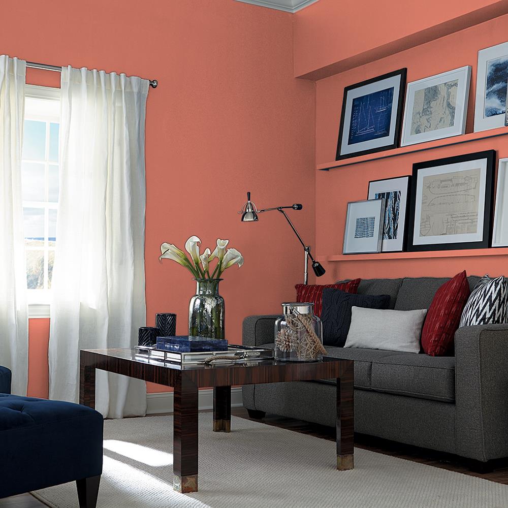 Cajun Spice PPG1191-6
