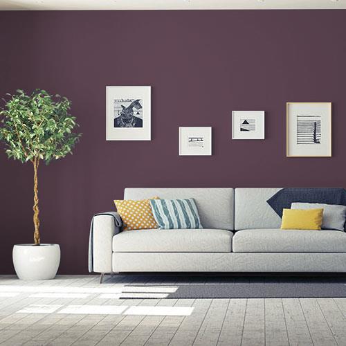 Purple Basil PPG1046-7