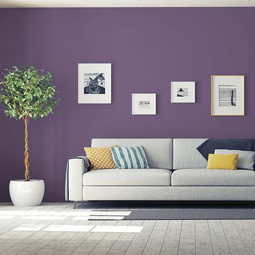 Pageant Pansy PPG13-20