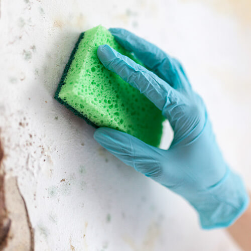 Hand scrubbing wall with sponge