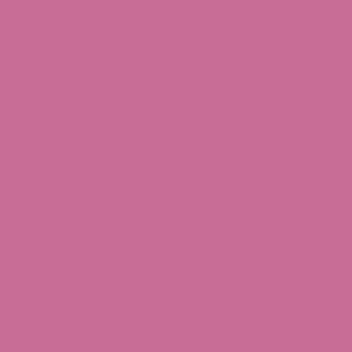 Florentine Pink PPG17-09