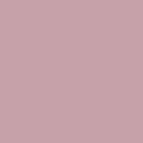 Lighthearted Rose PPG1049-4