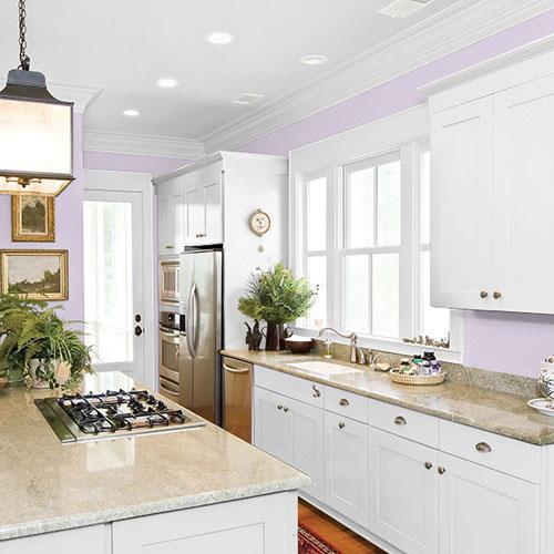 Dusky Lilac PPG1176-3