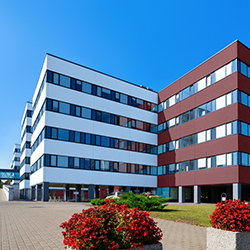 Building with windows and split colored white on left and brick-red on right with stone walkway and red flowers on bottom