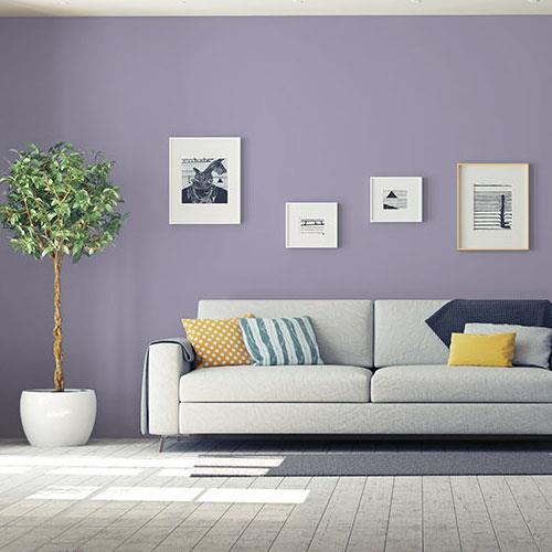 Purple Surf PPG1173-5