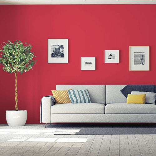 Calypso Berry PPG1185-7