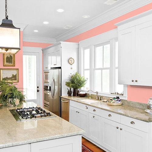 Riviera Rose PPG1189-4