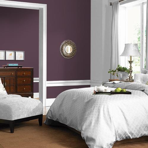 Purple Basil PPG1046-7