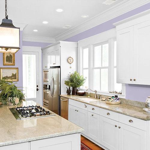 Wild Lilac PPG1175-4