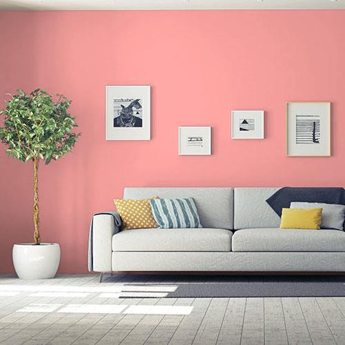 Salmon Pink PPG1188-4
