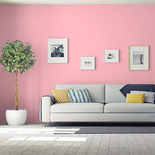 Powder Rose PPG1184-3