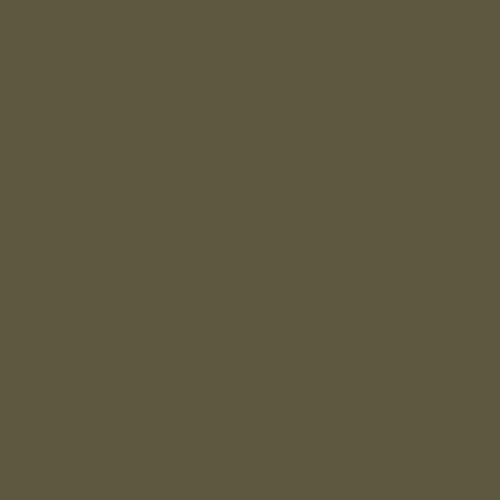 Olive Green PPG1113-7