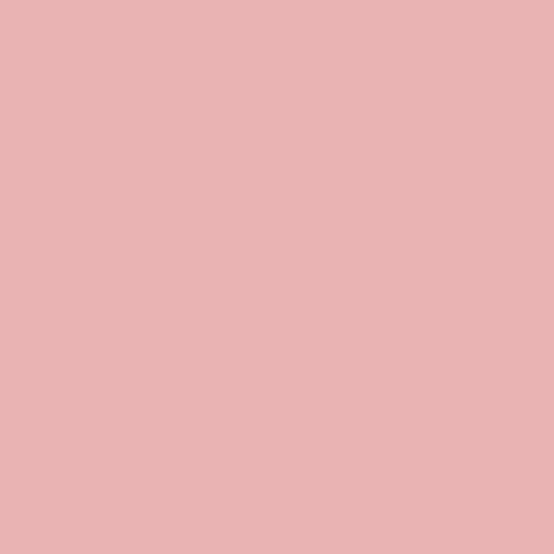 Strawberry Mousse PPG1051-3