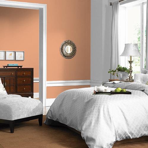Orange Clay PPG1200-4