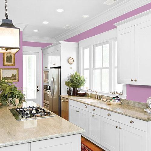 Mauve Magic PPG1180-5