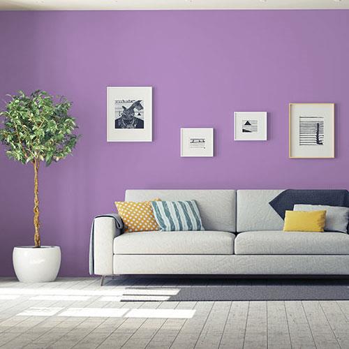 Purple Statice PPG1249-5