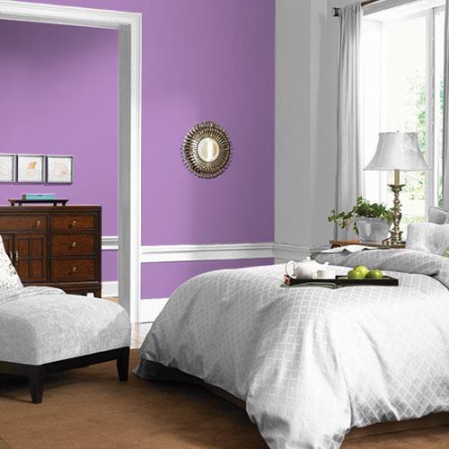 Plum Perfect PPG1250-5