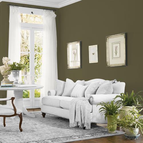 Olive Green MEN7159-6