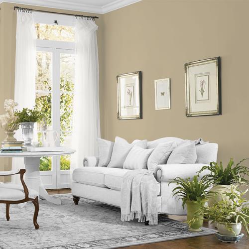 Prairie Dust MEN7149-4